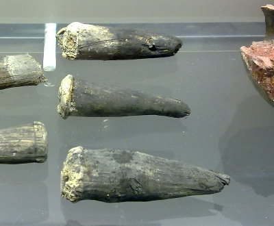 Wooden fuses from Ingolstadt 17th Century
